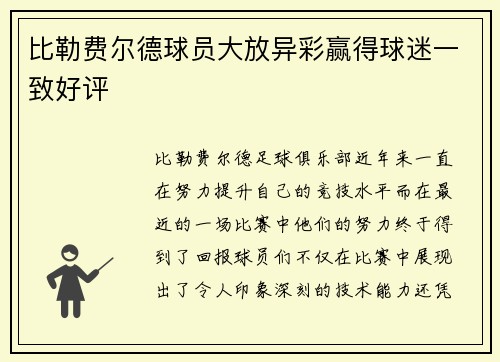 比勒费尔德球员大放异彩赢得球迷一致好评