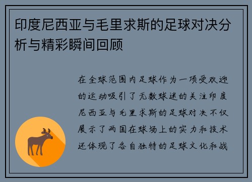 印度尼西亚与毛里求斯的足球对决分析与精彩瞬间回顾