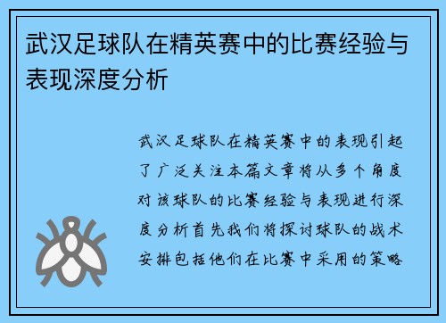 武汉足球队在精英赛中的比赛经验与表现深度分析